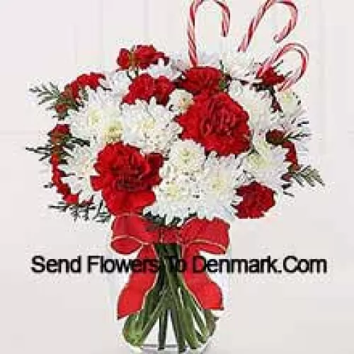 Sweeten their Christmas with a bounty of blooms and festive candy canes! A darling bouquet of red carnations and white chrysanthemums are accented with peppermint candy canes for a holiday presentation that is sure to make their holiday warm and bright. A memorable way to be a part of their holiday festivities! (Please Note That We Reserve The Right To Substitute Any Product With A Suitable Product Of Equal Value In Case Of Non-Availability Of A Certain Product)